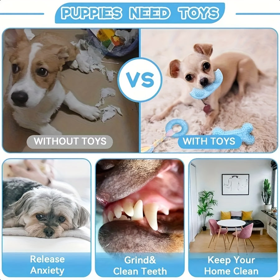 Series Dog Chew Toy Set (16pcs)-1