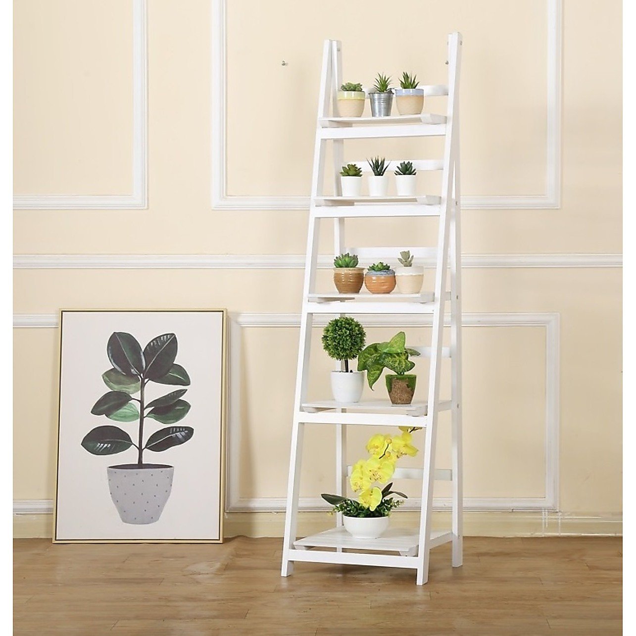 5 Tier Wooden Ladder Shelf