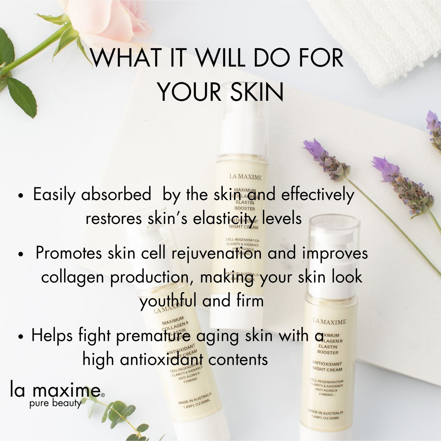 Maximum collagen & elastin booster antioxidant night cream