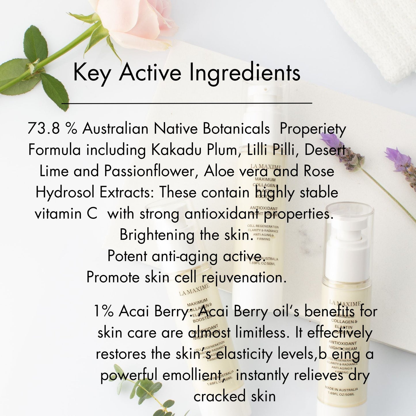 Maximum collagen & elastin booster antioxidant night cream