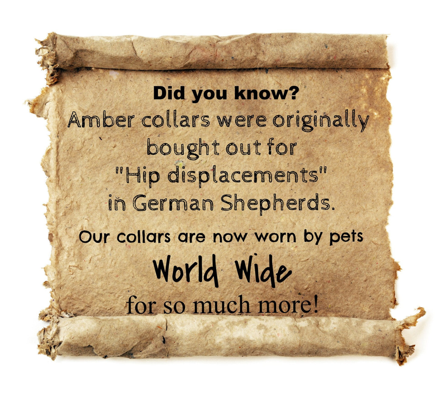 Small Cat Multi Amber Collar-4