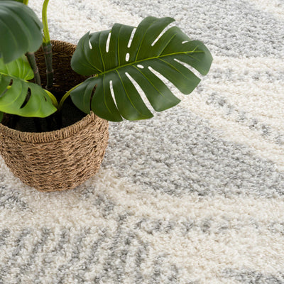 Gala Area Rug