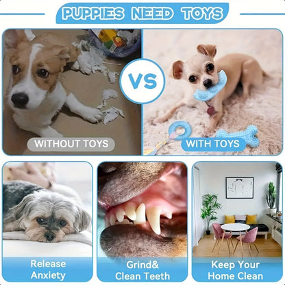 Series Dog Chew Toy Set (16pcs)-1
