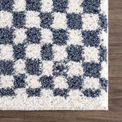 Kieu Blue Check Rug