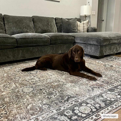 Ganyangan Eco-Wash Rug: Style Meets Functionality