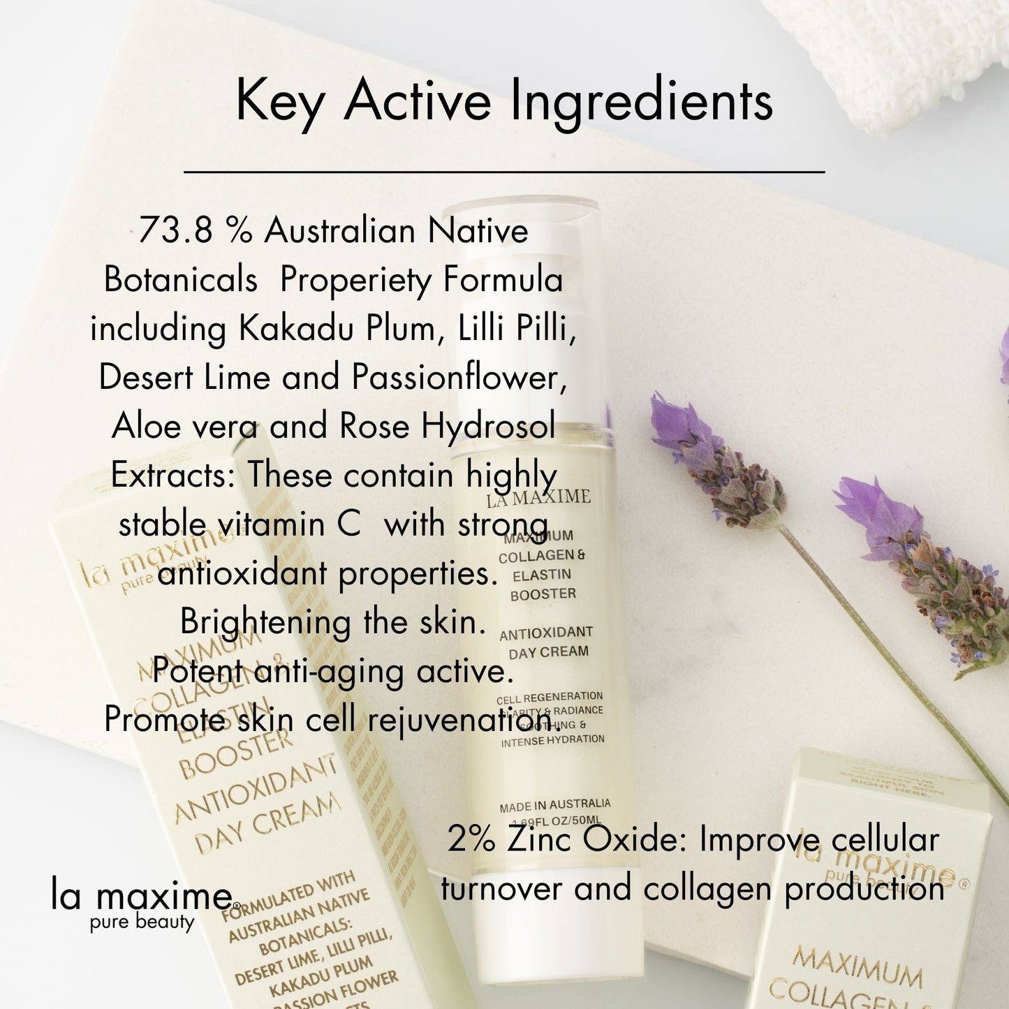 Maximum collagen & elastin booster antioxidant day cream