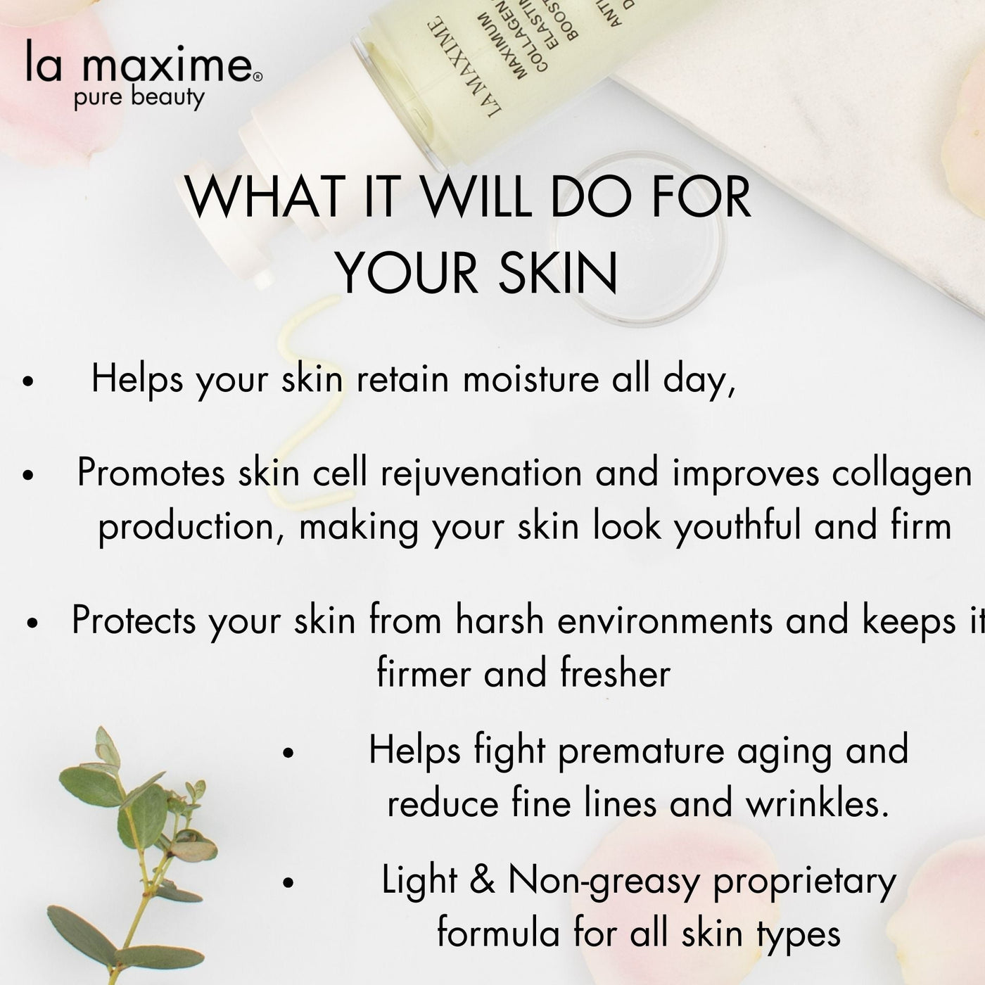Maximum collagen & elastin booster antioxidant day cream