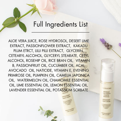 Maximum collagen & elastin booster antioxidant night cream