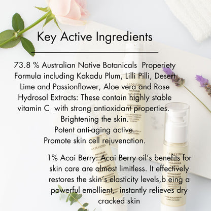 Maximum collagen & elastin booster antioxidant night cream
