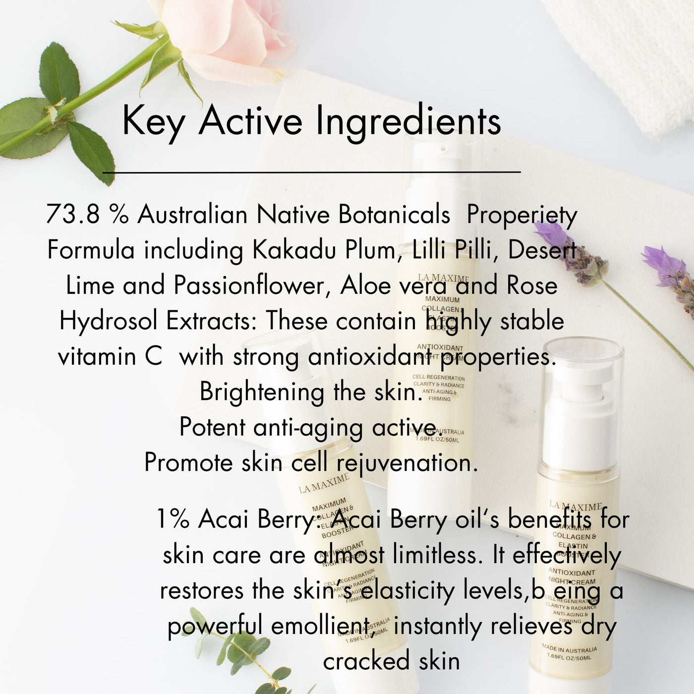 Maximum collagen & elastin booster antioxidant night cream