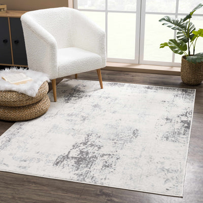 Tigrima Gray & Ivory Rug - Clearance