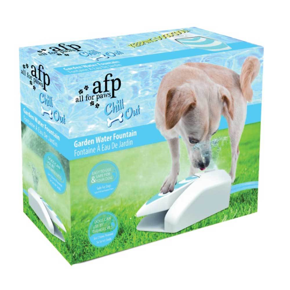 Dog Drinking Water Fountain