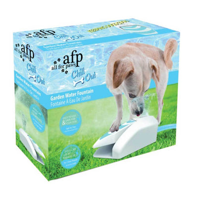 Dog Drinking Water Fountain