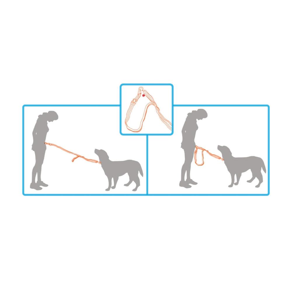 Jogging Dog Bungee Leash