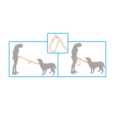 Jogging Dog Bungee Leash