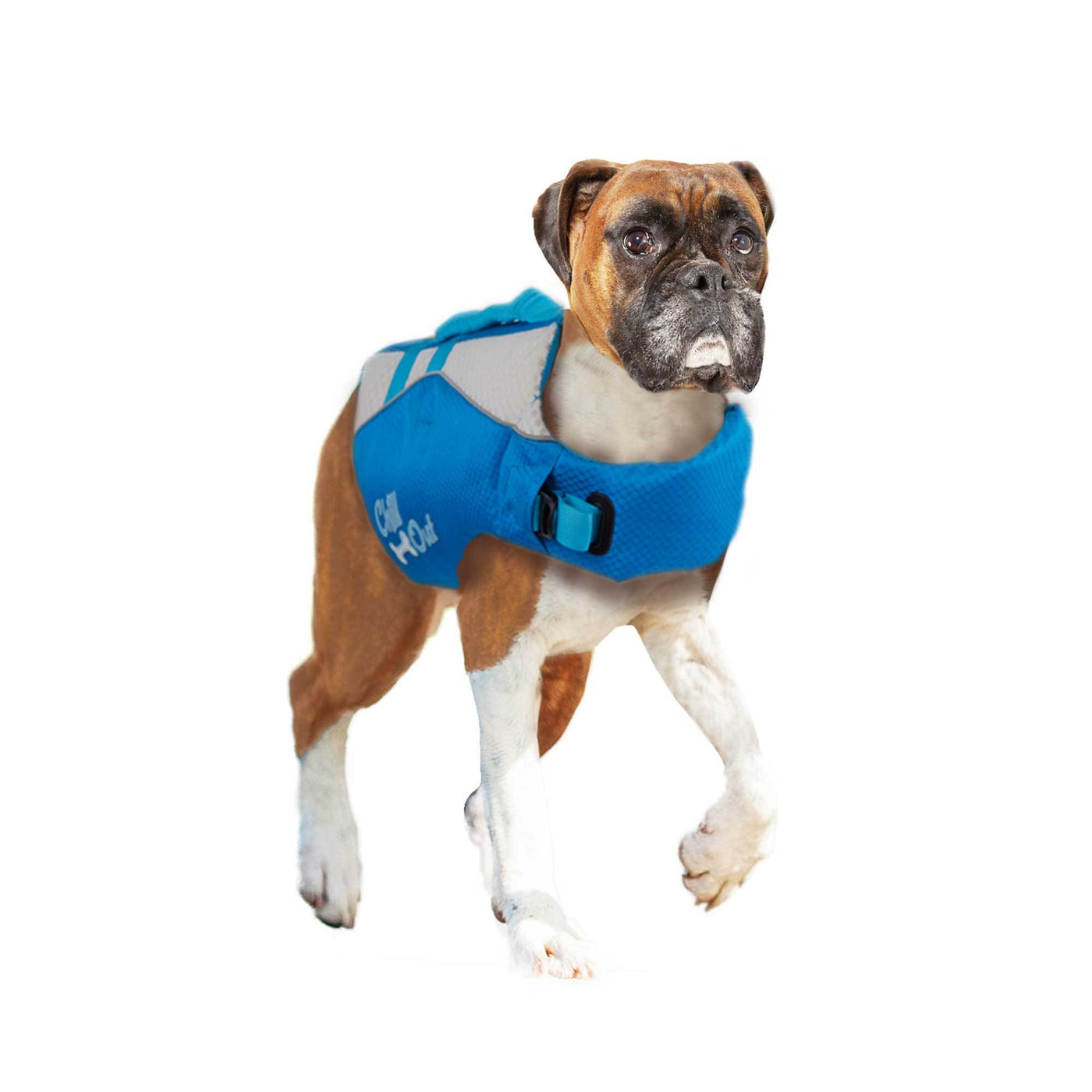 Dog Life Jacket