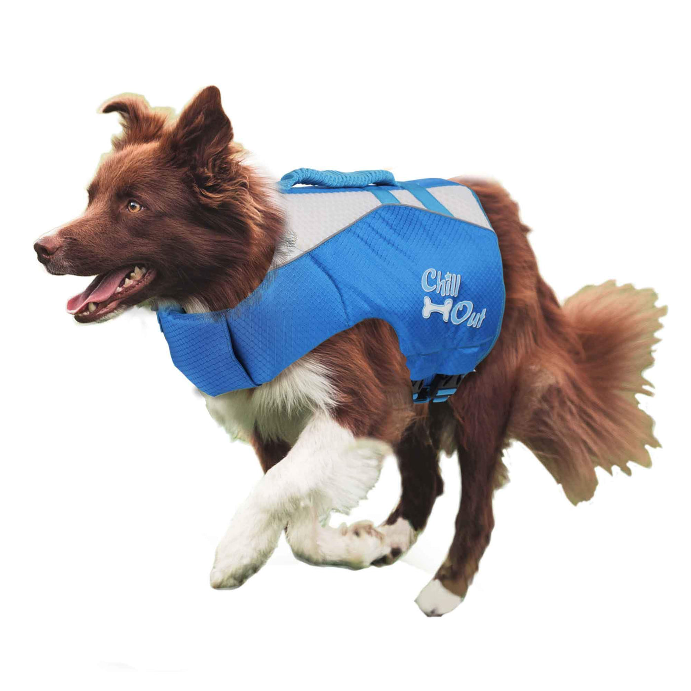 Dog Life Jacket