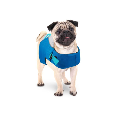 Dog Life Jacket