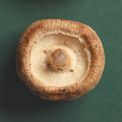 SHIITAKE HONEY PEARLS-1