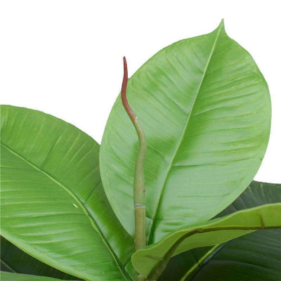 Artificial Potted Rubber Plant 55 cm