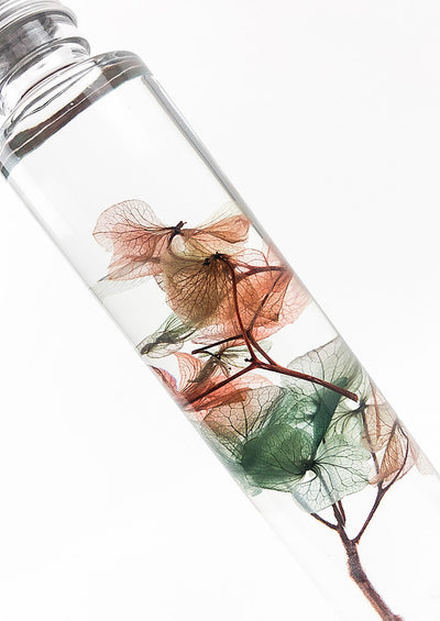 Hydrangea Preserved Bottle, Water Globe