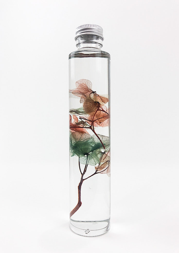 Hydrangea Preserved Bottle, Water Globe