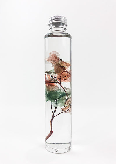 Hydrangea Preserved Bottle, Water Globe