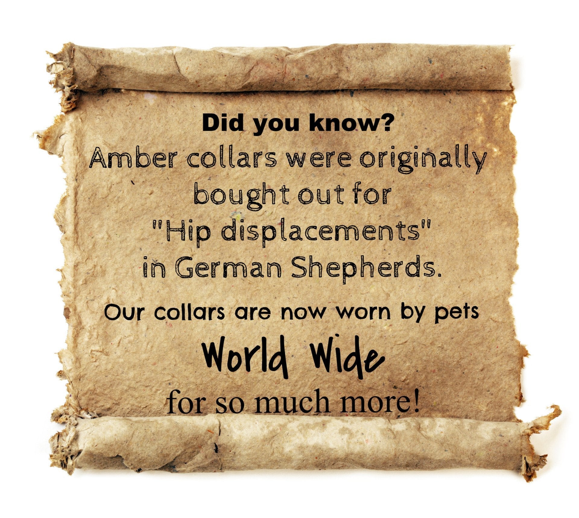 Small Cat Multi Amber Collar-4