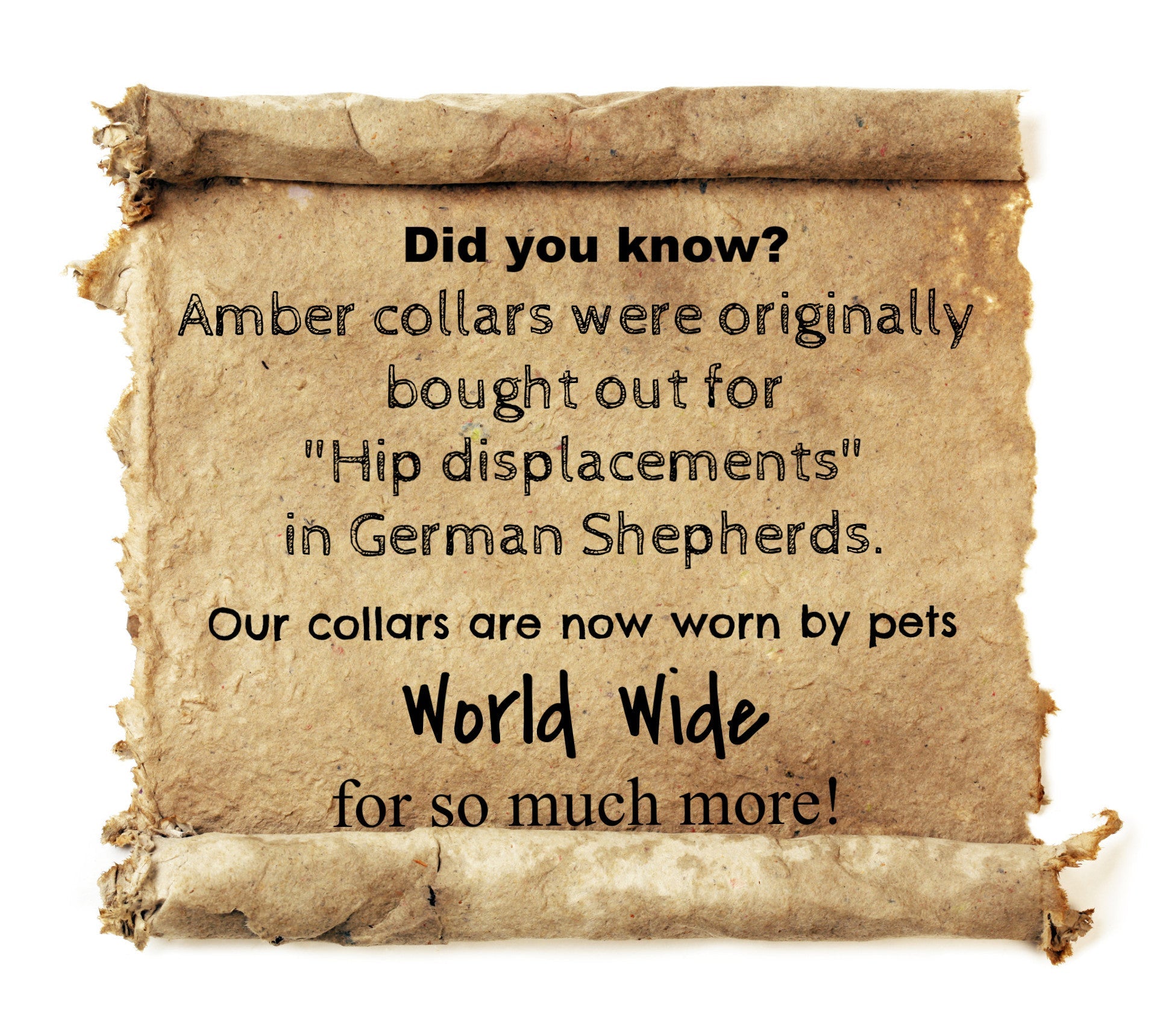 Small Dog Cherry Amber & Red Sea Coral Collar-3