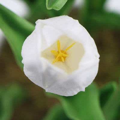 Flowering White Artificial Tulip Plant Arrangement