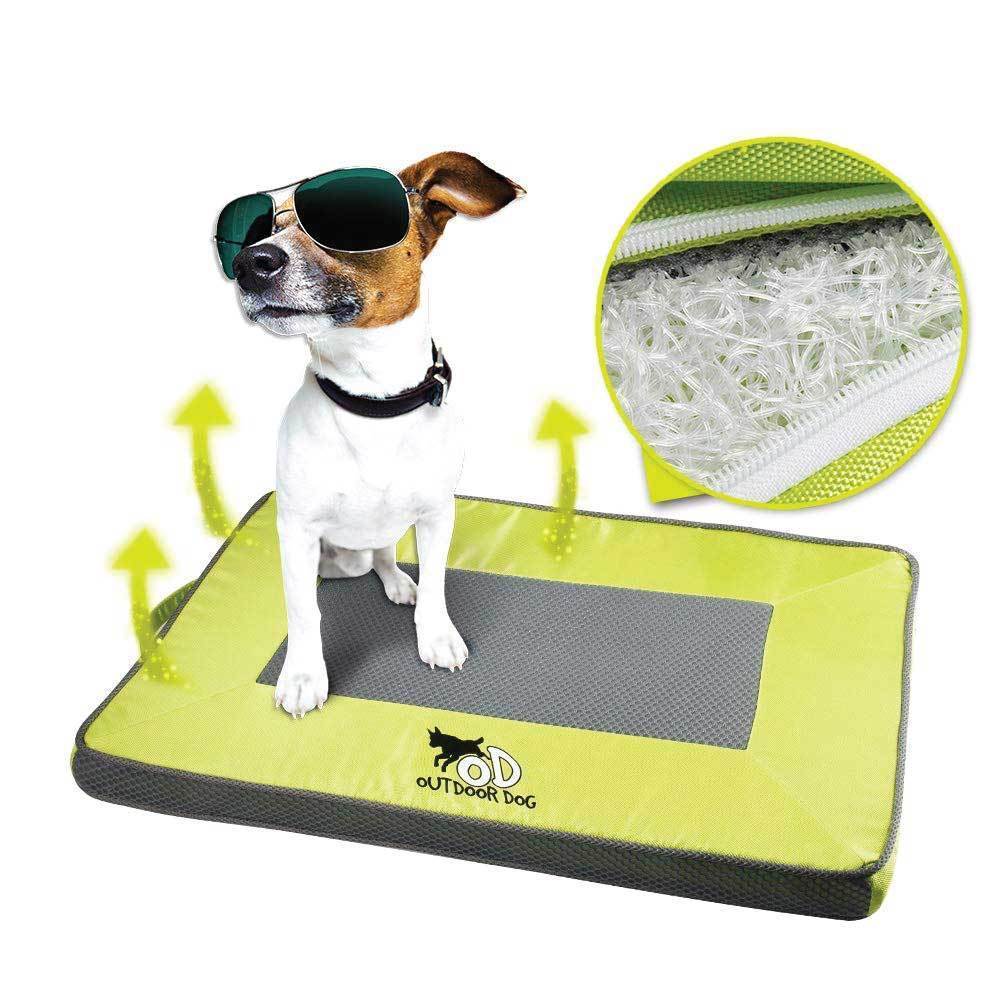 M Outdoor Dog Mat Quick Dry