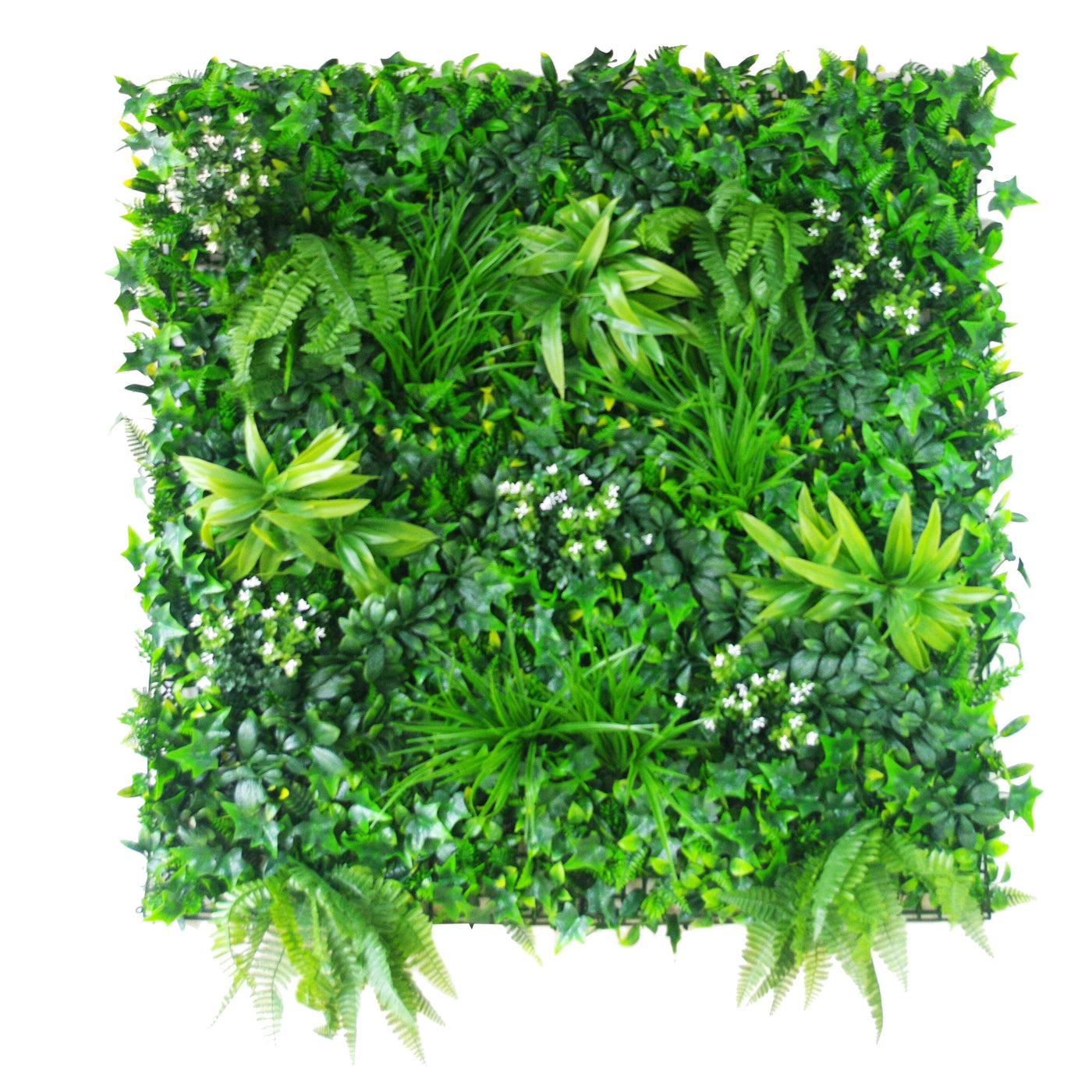 White Flowering Boxwood Artificial Vertical Garden Panel 25cm x 25cm