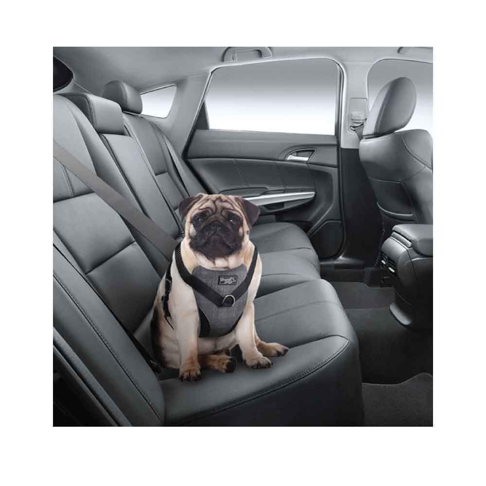 XL Dog Harness 2 in 1 Combo