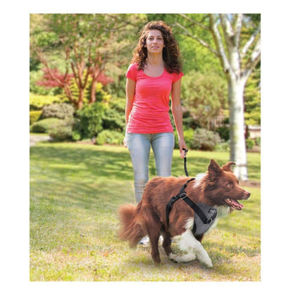 XL Dog Harness 2 in 1 Combo