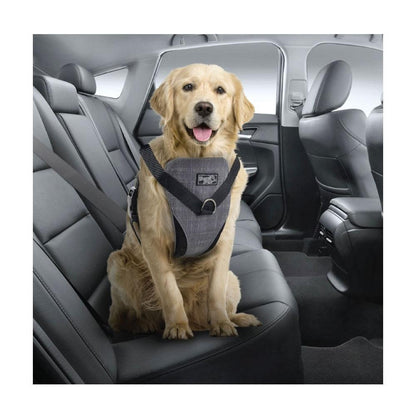 XL Dog Harness 2 in 1 Combo